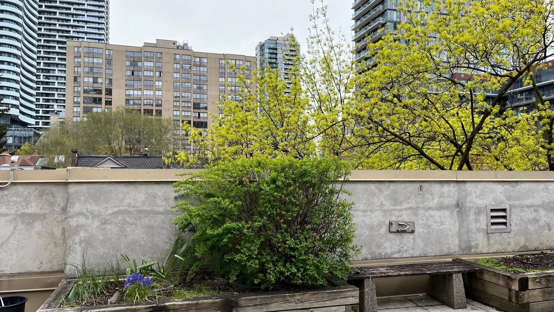 Neill Wycik Hotel Toronto